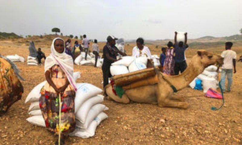 The World Food Programme (WFP) resumed its operations in the Tigray region of Ethiopia after fighting had halted its emergency response-94ee48a1de1c9871342bcacdb9f927831625289068.jpg
